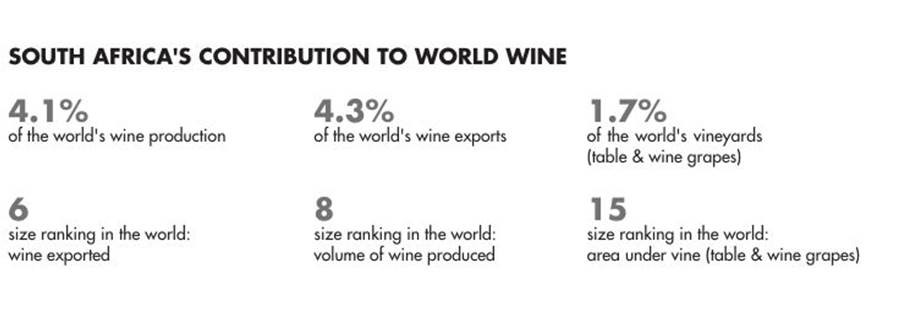 South Africa's Contribution to World Wine